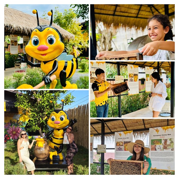 Bee My Dear Honey Farmでの実際にミツバチの活動を見学し触れ合います・