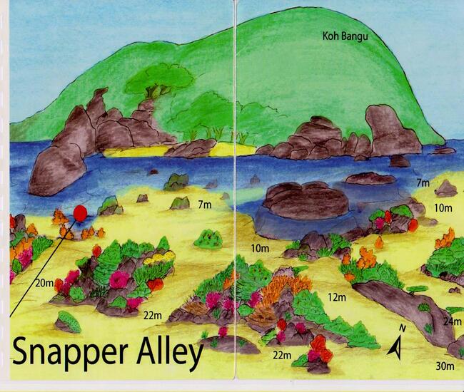 穏やかな地形スナッパーアレー（Snapper Alley）  