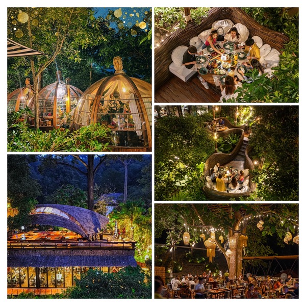 Three Monkeys Restaurantの料理と森の景色。緑に囲まれたオープンエアのテーブルで、タイ料理を楽しむ贅沢なひととき
