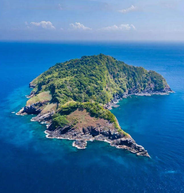 シミランダイブクルーズ・ボン島ウエストリッジ