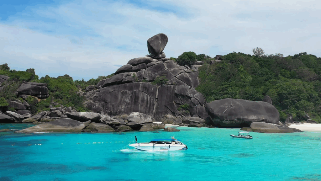 Check in Andaman号で行くシミラン諸島ツアー