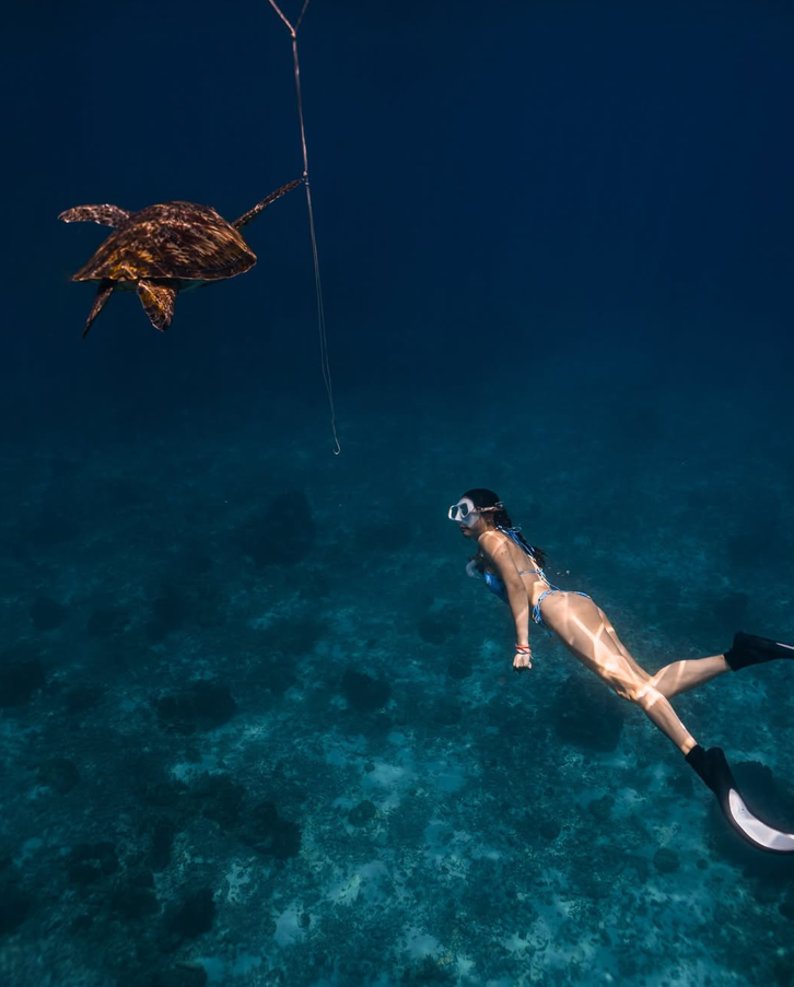 フリーダイビング