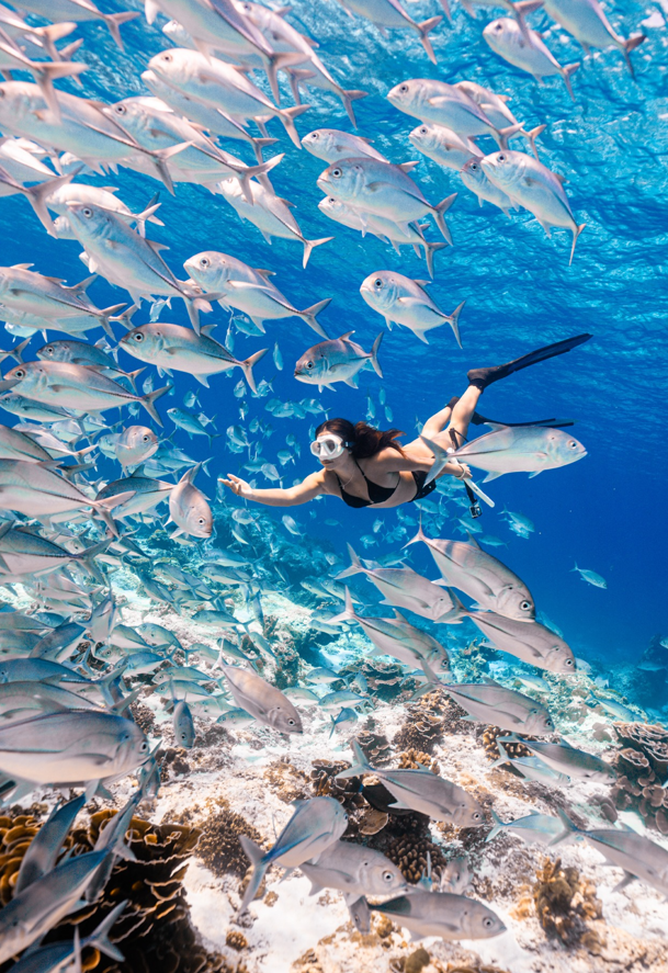 シミラン諸島で撮影スポット巡り