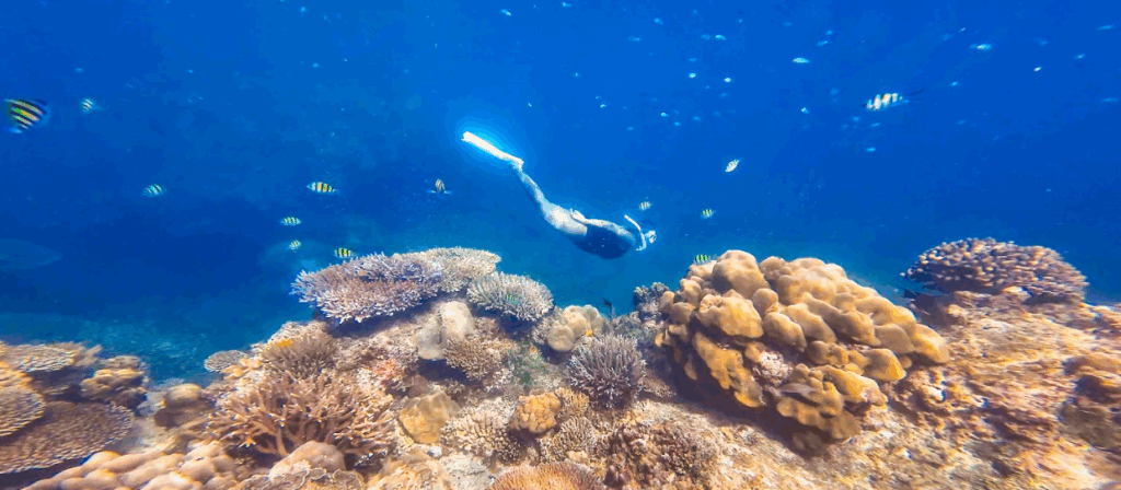 スリン諸島でフリーダイビングを楽しむ