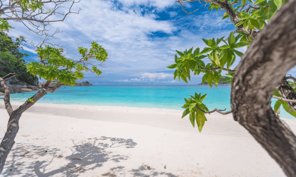 シミラン諸島№4へ上陸します