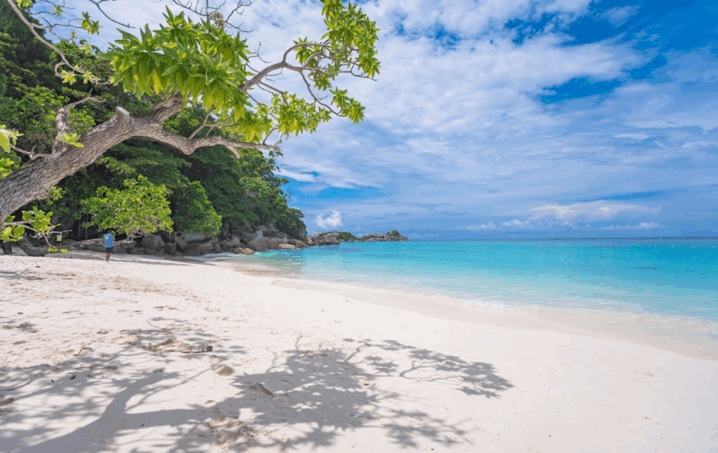 シミラン諸島は№4へも上陸します