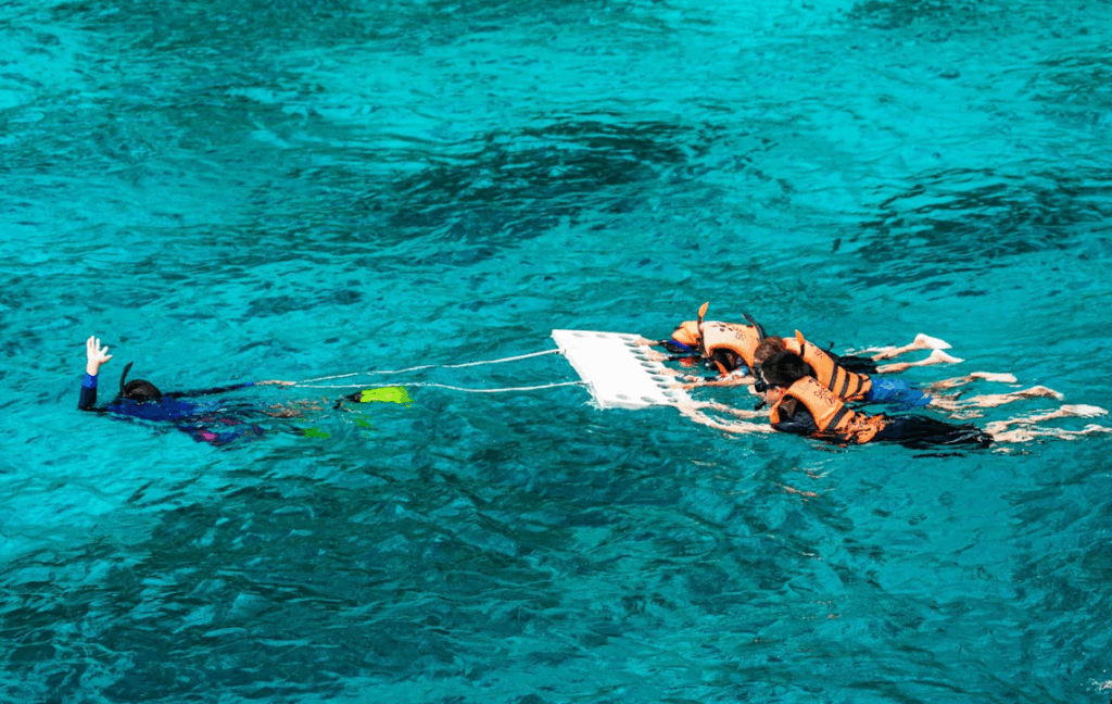 ガイドによるシミラン諸島でシュノーケリング