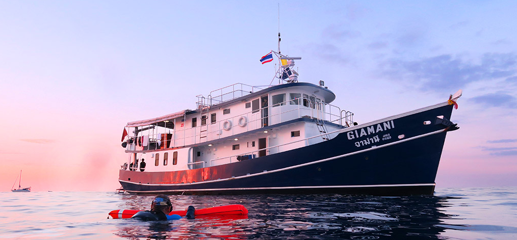 MV Giamani号 シミラン諸島ダイブクルーズ 2025-2026｜少人数10名限定のラグジュアリー船