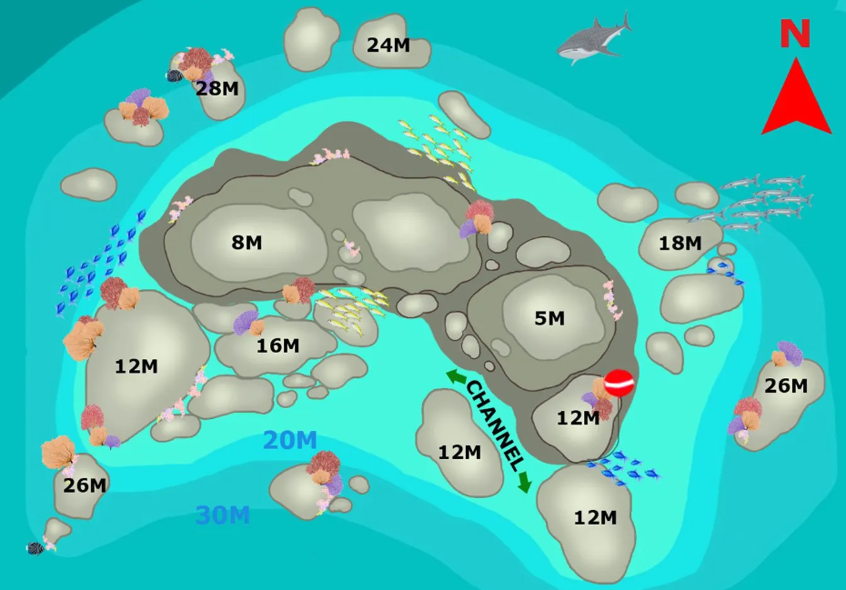 シミラン諸島ダイブクルーズ9-10本目｜リチュリューロック（スリン諸島）の群れダイブ