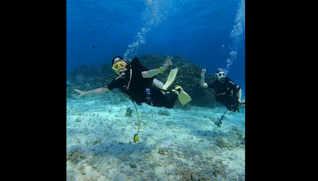 シミラン諸島ダイブクルーズ1本目｜ハネムーンベイNo.4の水中世界