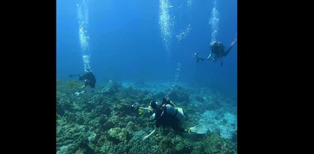 ストーンヘンジ、巨石エリアと珊瑚礁リーフエリアに分かれます、珊瑚礁リーフで撮影タイム