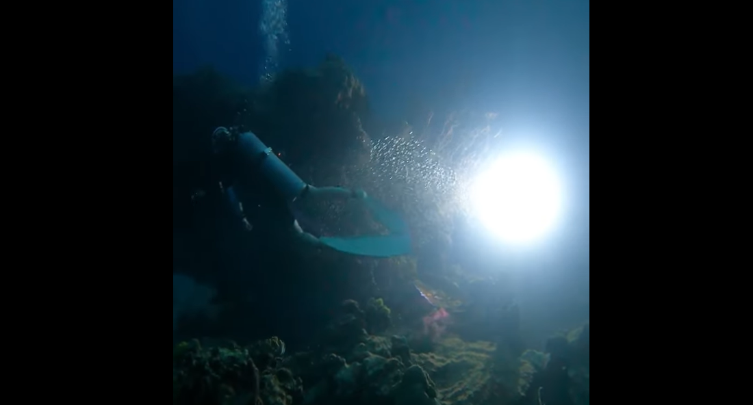 シミラン諸島ダイブクルーズ4本目｜ナムチャイベイのナイトダイブ