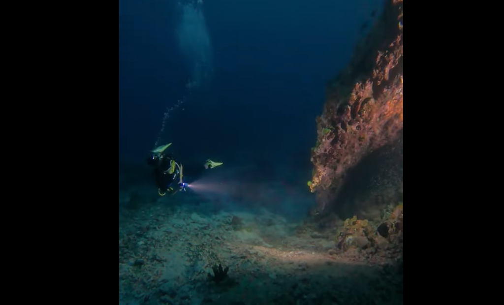 シミラン諸島№9ナムチャイベイ、浅瀬珊瑚礁と魚が豊富な為、ナイトダイブで良く使われる