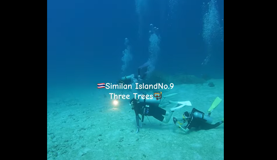 シミラン諸島№9・スリーツリーズの砂地チンアナゴやジョーフィッシュなどを観察