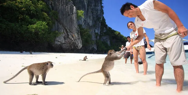 モンキービーチ