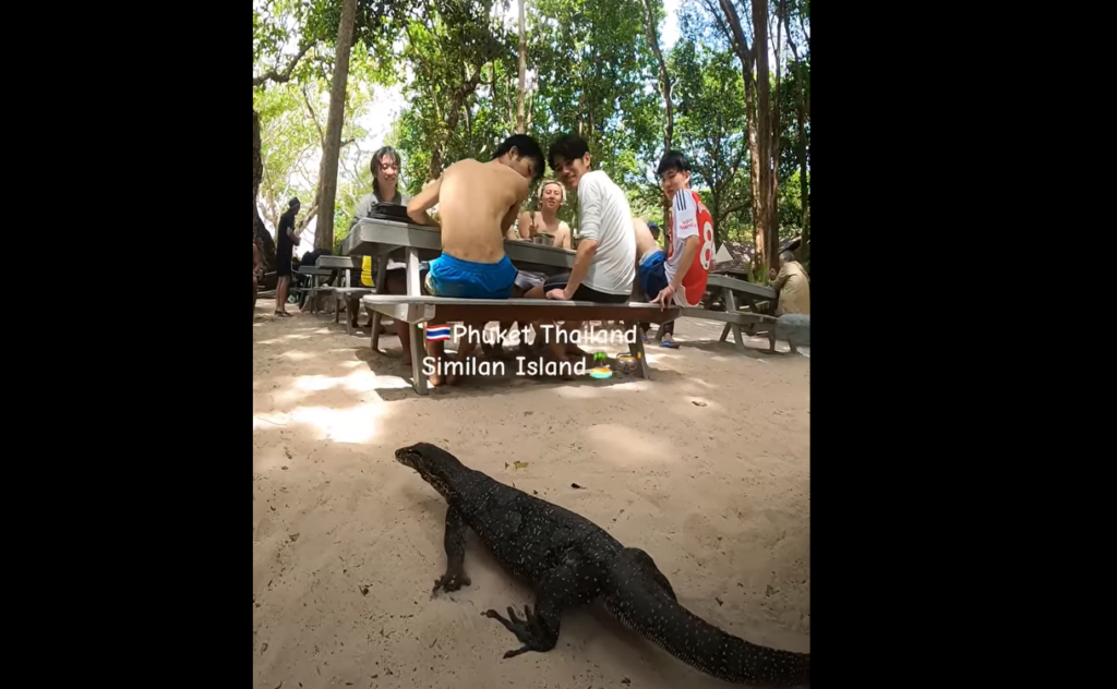 シミラン諸島№8でランチ上陸します