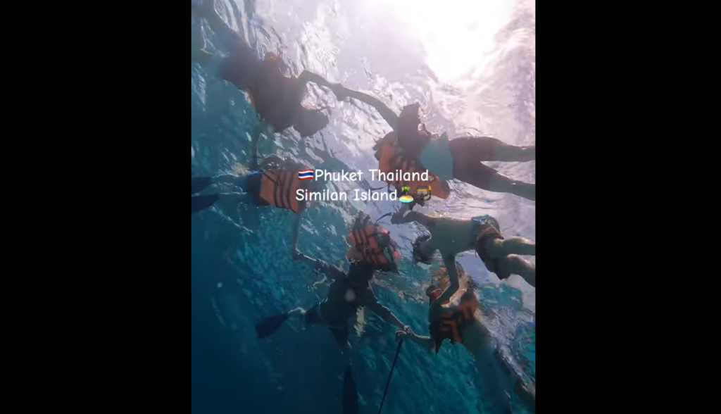 撮影スポットも多数あり、楽しめます