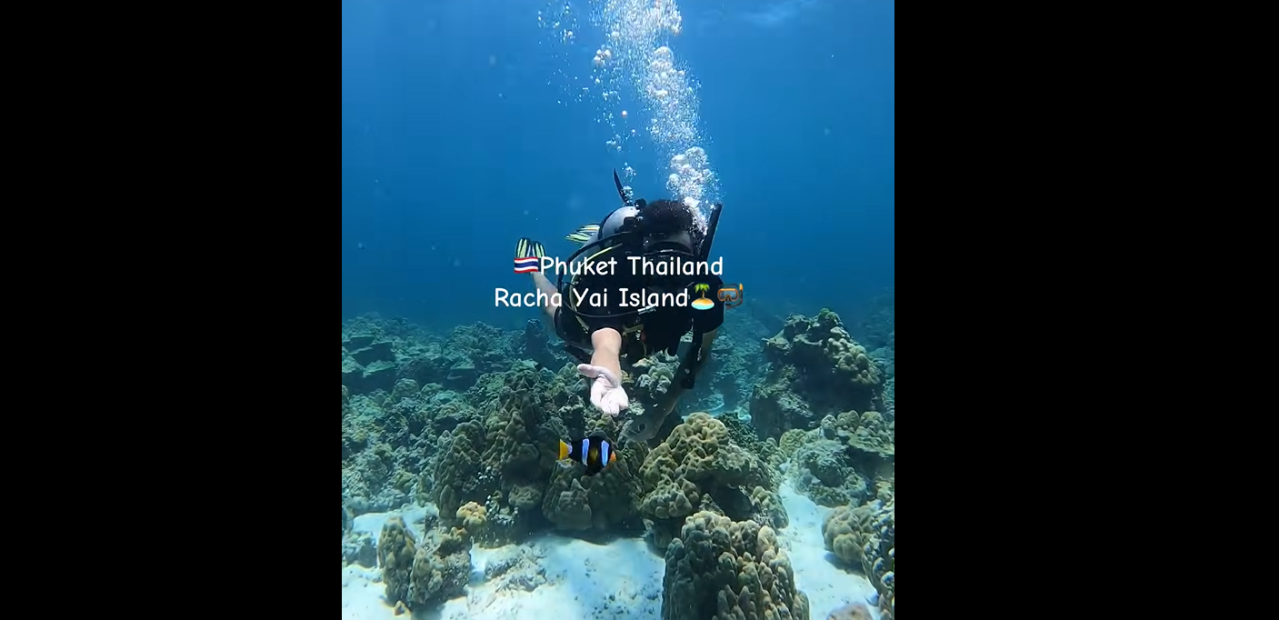 プーケット ダイビングライセンス取得｜ラチャヤイ島で初心者OK
