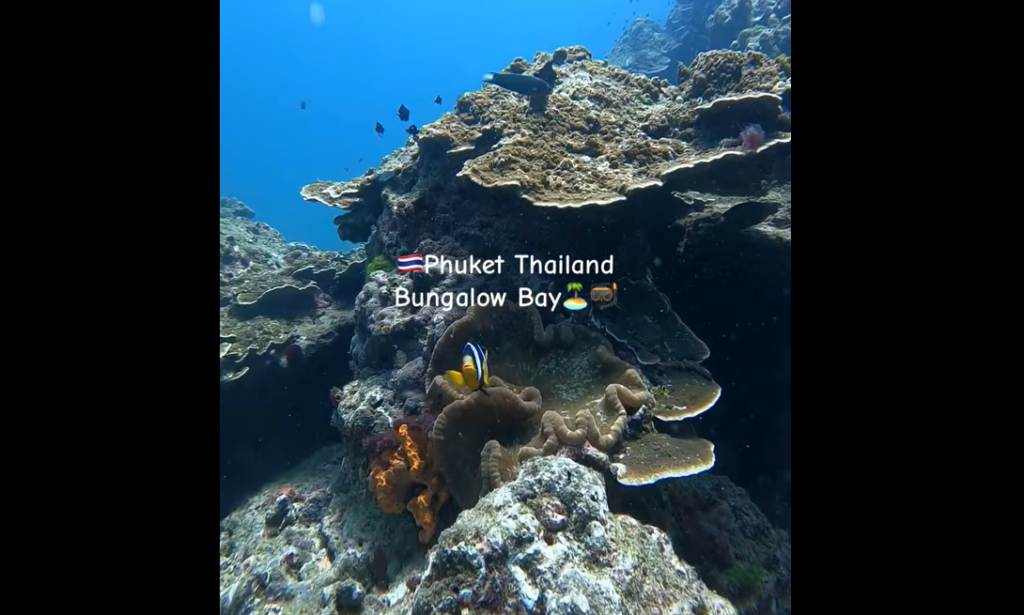 水中世界へようこそ、プーケットライセンス講習