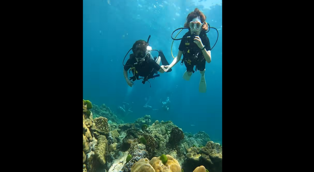 透明度は抜群です