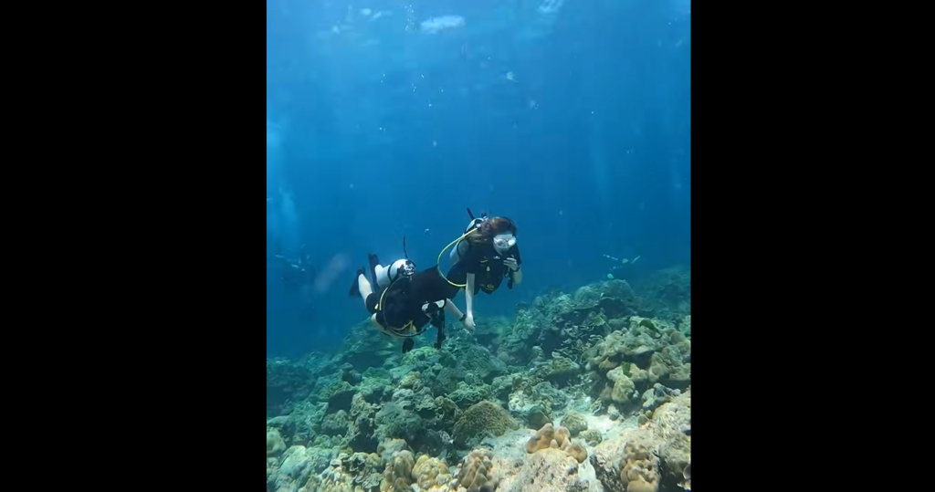 お互い深度を保ちダイビングを楽しむ