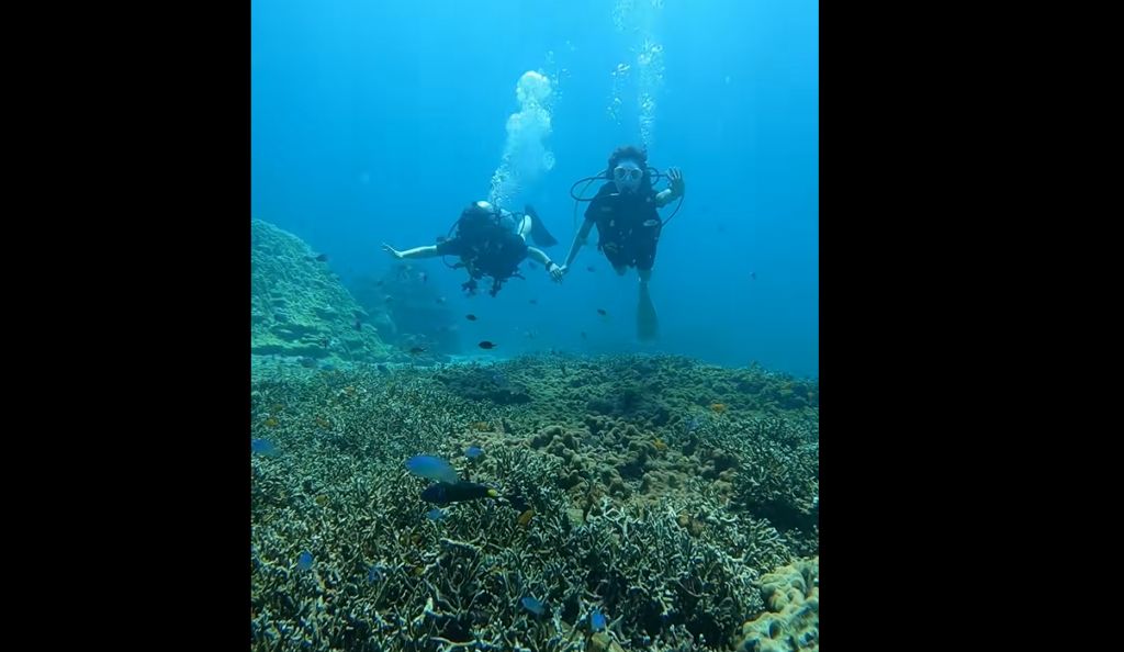 珊瑚礁の中を中性浮力を使用しダイビングを楽しむ