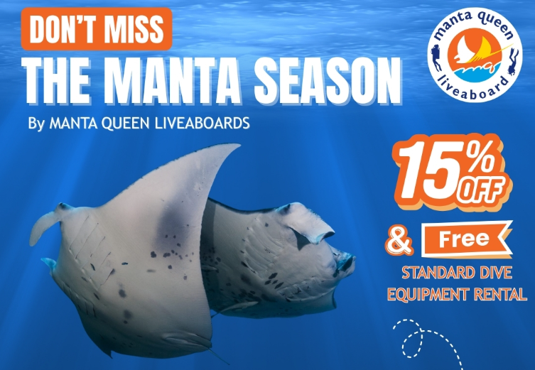 2026年4月1日〜5月15日までの期間限定で、全コース15%OFF+器材レンタル無料という非常にお得なキャンペーンを実施中です。