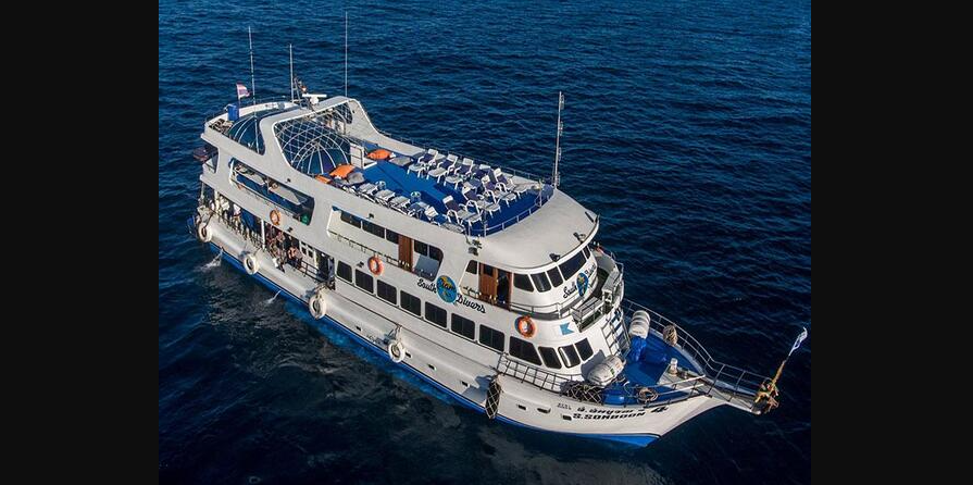 シミラン諸島ダイビング｜ソンブーン号シーズン（25－26）終了＆次回開催情報