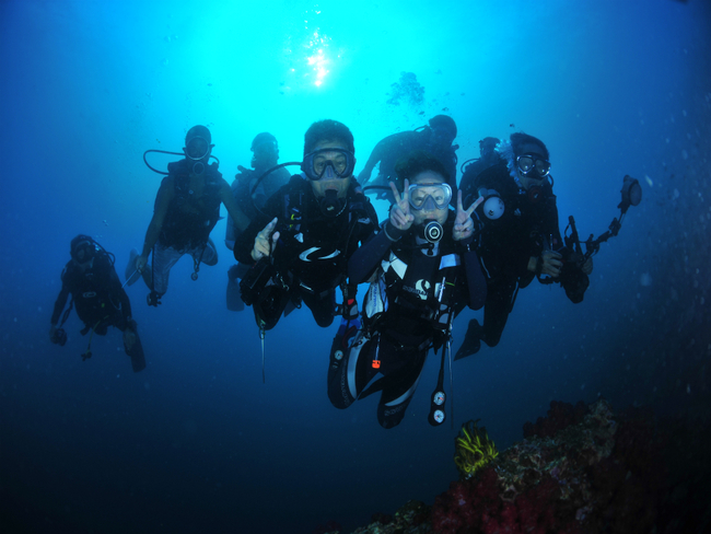 シミラン諸島の水中集合写真