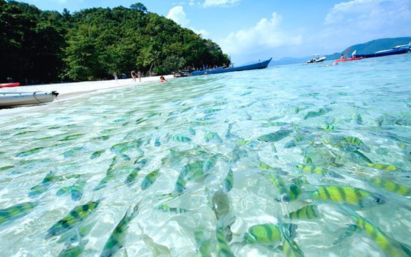 プーケット発コーラル島ツアー(ロングビーチ)